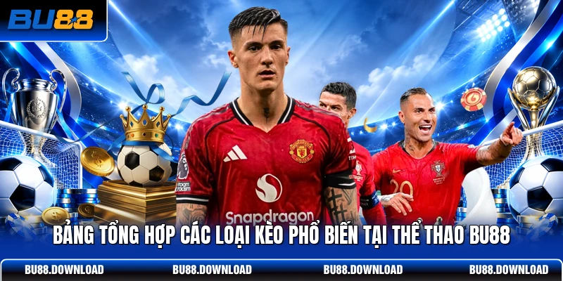 Bảng tổng hợp các loại kèo phổ biến tại thể thao BU88